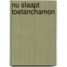 Nu slaapt Toetanchamon door Patrick Bernauw
