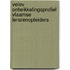 VELOV Ontwikkelingsprofiel Vlaamse lerarenopleiders