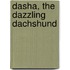 Dasha, the dazzling dachshund