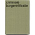 Criminele burgerinfiltratie