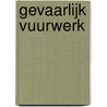 Gevaarlijk vuurwerk by Adri Burghout