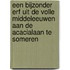 Een bijzonder erf uit de Volle Middeleeuwen aan de Acacialaan te Someren
