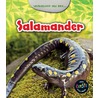 Salamander door Charlotte Guillain