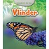 Vlinder