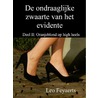 De ondraaglijke zwaarte van het evidente by Leo Feyaerts