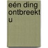 Eén ding ontbreekt u