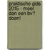 Praktische Gids 2015 - Meer dan een BV? Doen!