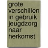 Grote verschillen in gebruik jeugdzorg naar herkomst door Trees Pels