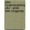 Pilot zorghuisvesting v&v - pniël, lelie zorggroep door Pieter Graaff