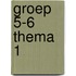groep 5-6 thema 1