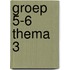 Groep 5-6 Thema 3