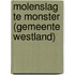 Molenslag te Monster (gemeente Westland)