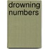 Drowning Numbers