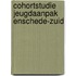 Cohortstudie jeugdaanpak Enschede-Zuid