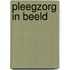 Pleegzorg in beeld