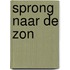 Sprong naar de zon