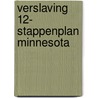 Verslaving 12- stappenplan Minnesota by Geoffrey Verheul