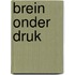 Brein onder druk