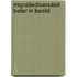 Migratiediversiteit beter in beeld
