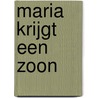 Maria krijgt een zoon door Vrouwke Klapwijk