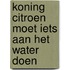 Koning Citroen moet iets aan het water doen
