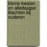Kleine kwalen en alledaagse klachten bij ouderen