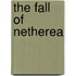 The fall of netherea