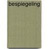 Bespiegeling door Steffen Keuning