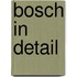 Bosch in detail