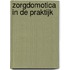 Zorgdomotica in de praktijk