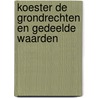 Koester de grondrechten en gedeelde waarden door Frank van Mil