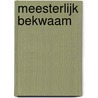 Meesterlijk bekwaam door Martha Meindertsma