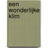 Een wonderlijke klim