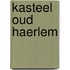 Kasteel Oud Haerlem