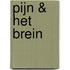 Pijn & het brein