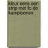 Kleur eens een strip met FC De Kampioenen