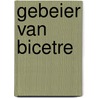 Gebeier van Bicetre door Georges Simenon