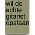 Wil de echte gitarist opstaan
