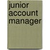 Junior account manager