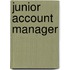 Junior account manager