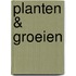 Planten & groeien