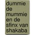 Dummie de mummie en de sfinx van Shakaba