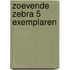 Zoevende zebra 5 exemplaren