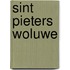 Sint Pieters Woluwe
