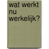 Wat werkt nu werkelijk?