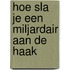 Hoe sla je een miljardair aan de haak