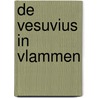 De vesuvius in vlammen door Plinius