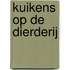 Kuikens op de Dierderij