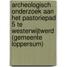 Archeologisch onderzoek aan het Pastoriepad 5 te Westerwijtwerd (gemeente Loppersum) by Patrice de Rijk