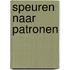 Speuren naar patronen